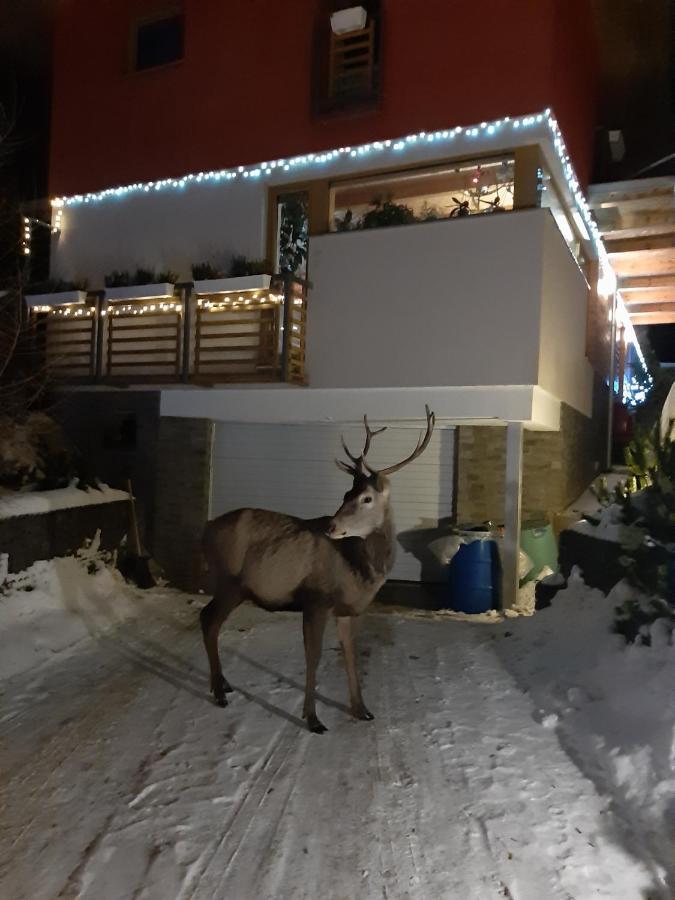Vila Anna Vysoké Tatry Esterno foto